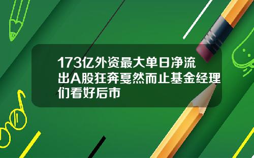 173亿外资最大单日净流出A股狂奔戛然而止基金经理们看好后市