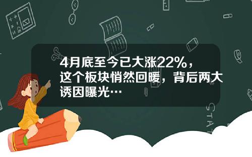 4月底至今已大涨22%，这个板块悄然回暖，背后两大诱因曝光…