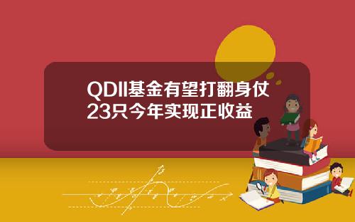 QDII基金有望打翻身仗23只今年实现正收益