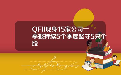 QFII现身15家公司一季报持续5个季度坚守5只个股