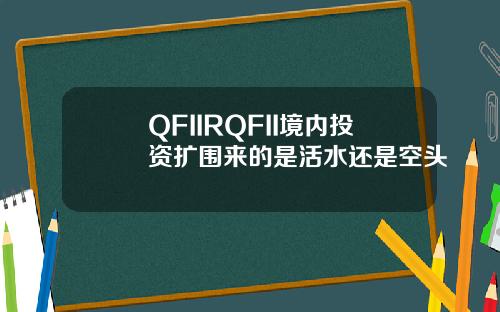 QFIIRQFII境内投资扩围来的是活水还是空头