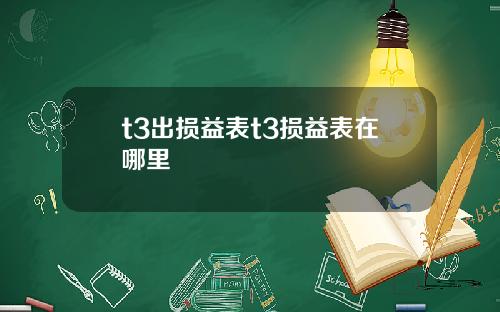 t3出损益表t3损益表在哪里
