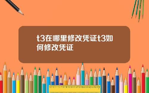 t3在哪里修改凭证t3如何修改凭证