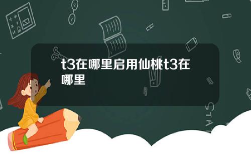 t3在哪里启用仙桃t3在哪里