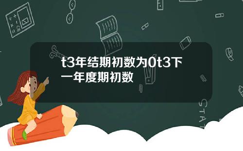t3年结期初数为0t3下一年度期初数