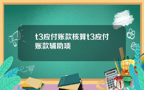 t3应付账款核算t3应付账款辅助项