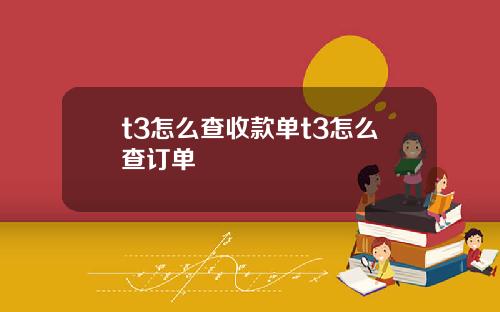 t3怎么查收款单t3怎么查订单