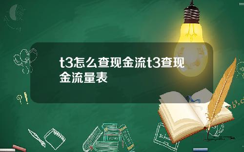 t3怎么查现金流t3查现金流量表