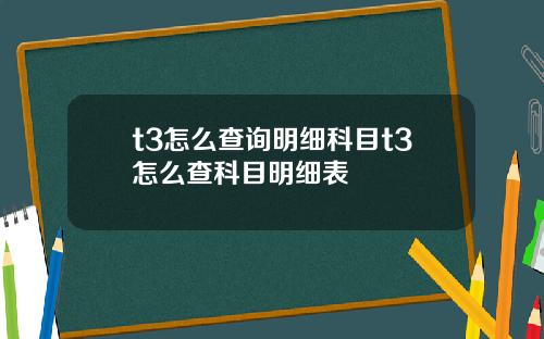 t3怎么查询明细科目t3怎么查科目明细表