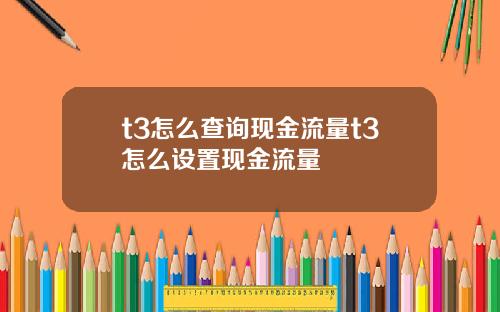 t3怎么查询现金流量t3怎么设置现金流量
