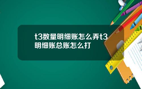 t3数量明细账怎么弄t3明细账总账怎么打