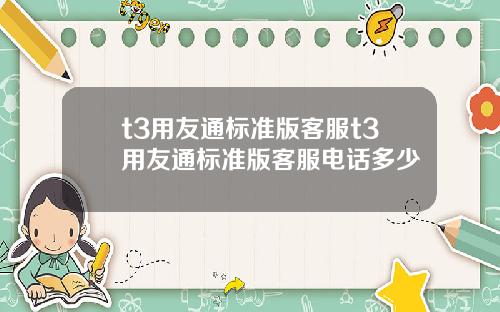 t3用友通标准版客服t3用友通标准版客服电话多少