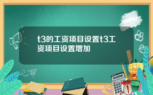 t3的工资项目设置t3工资项目设置增加