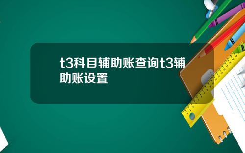 t3科目辅助账查询t3辅助账设置