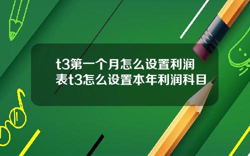 t3第一个月怎么设置利润表t3怎么设置本年利润科目