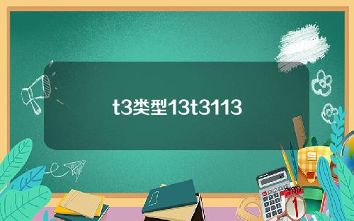 t3类型13t3113