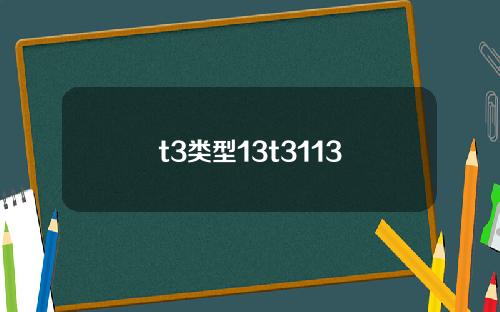 t3类型13t3113