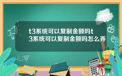 t3系统可以复制金额吗t3系统可以复制金额吗怎么弄