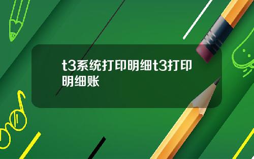 t3系统打印明细t3打印明细账