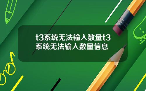t3系统无法输入数量t3系统无法输入数量信息