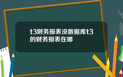 t3财务报表没数据库t3的财务报表在哪