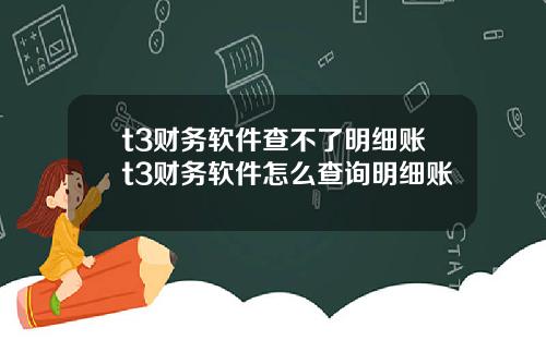t3财务软件查不了明细账t3财务软件怎么查询明细账