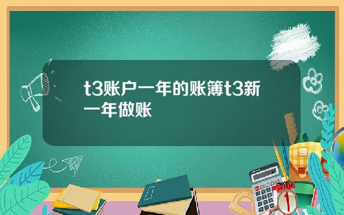 t3账户一年的账簿t3新一年做账