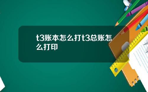t3账本怎么打t3总账怎么打印