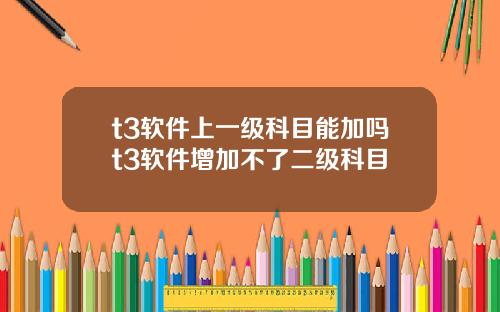 t3软件上一级科目能加吗t3软件增加不了二级科目