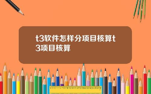 t3软件怎样分项目核算t3项目核算