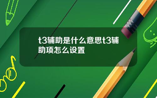 t3辅助是什么意思t3辅助项怎么设置