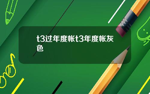 t3过年度帐t3年度帐灰色