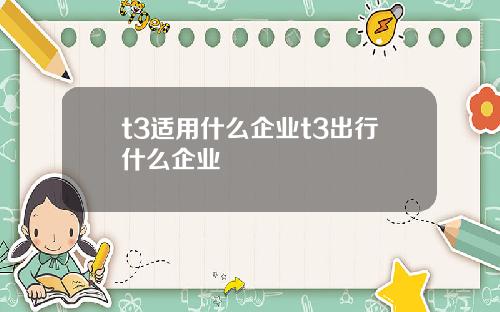 t3适用什么企业t3出行什么企业