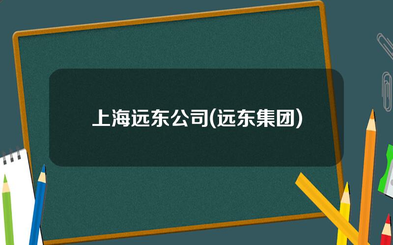 上海远东公司(远东集团)