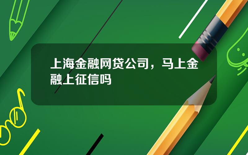 上海金融网贷公司，马上金融上征信吗