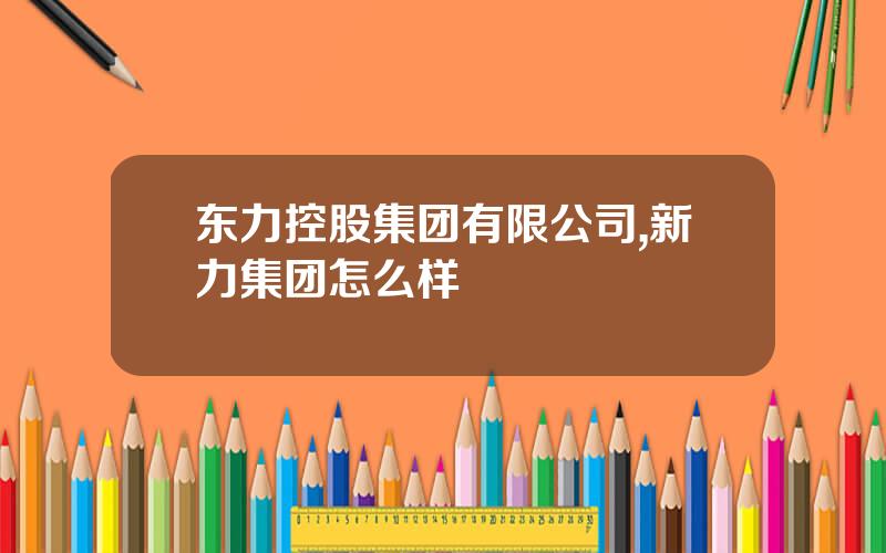 东力控股集团有限公司,新力集团怎么样
