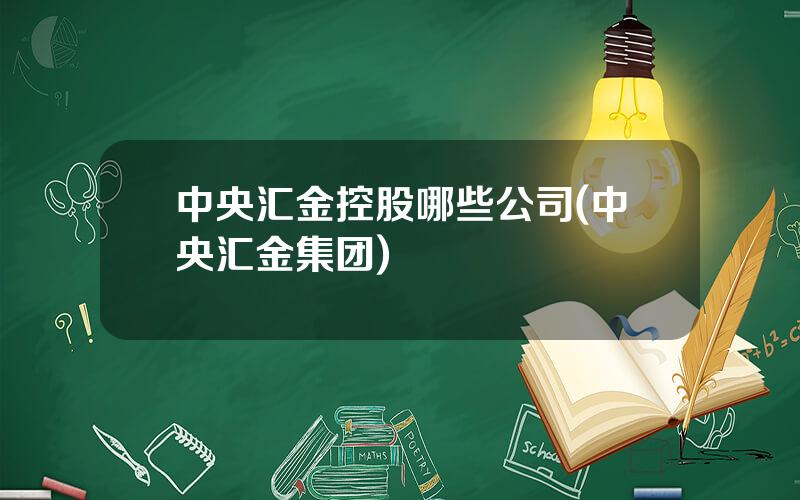 中央汇金控股哪些公司(中央汇金集团)