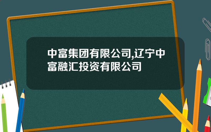 中富集团有限公司,辽宁中富融汇投资有限公司