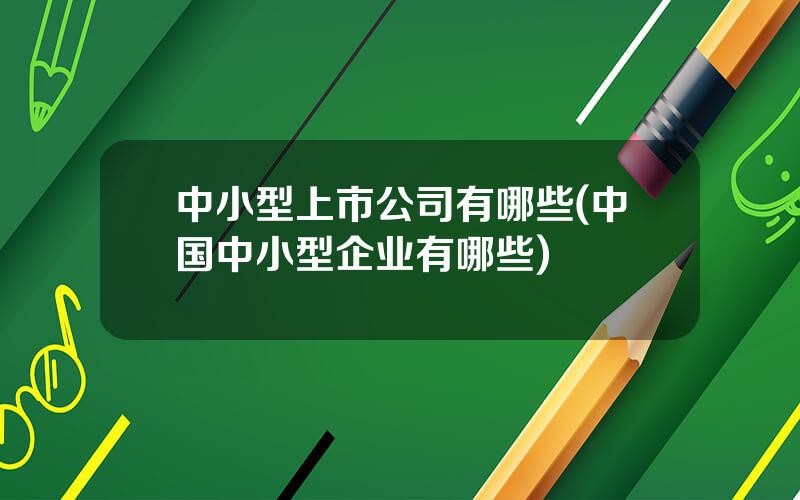 中小型上市公司有哪些(中国中小型企业有哪些)