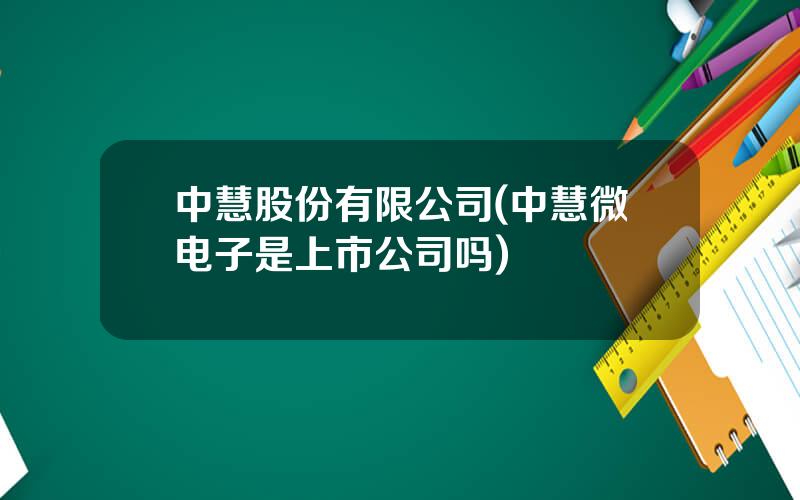 中慧股份有限公司(中慧微电子是上市公司吗)