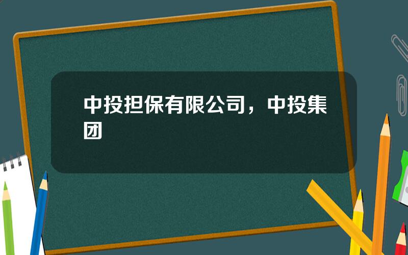 中投担保有限公司，中投集团