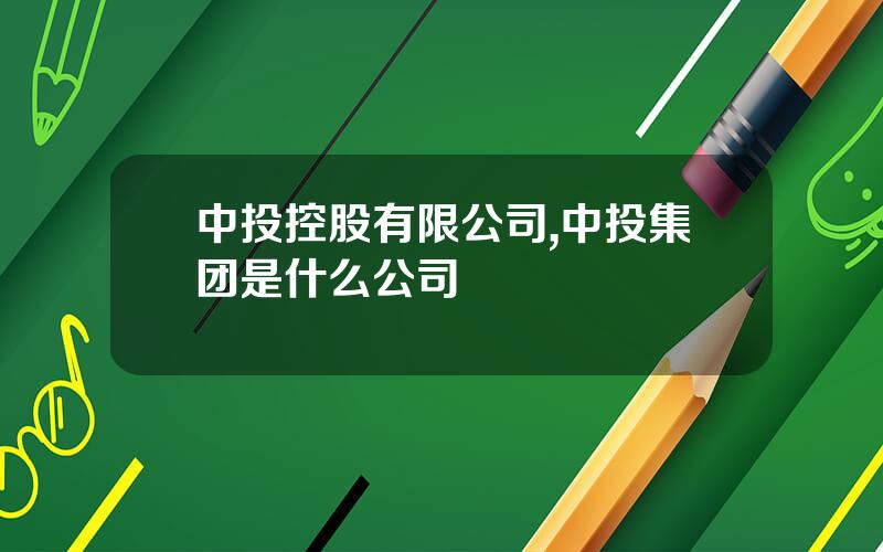 中投控股有限公司,中投集团是什么公司