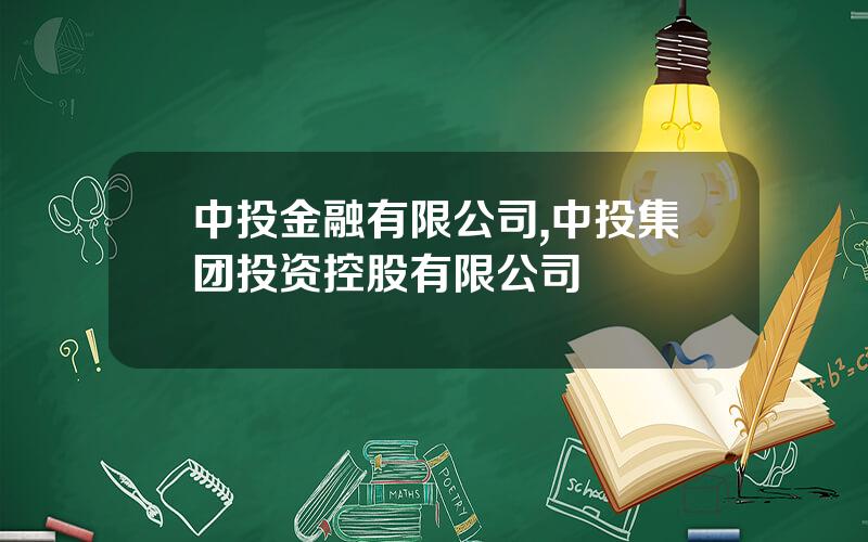 中投金融有限公司,中投集团投资控股有限公司