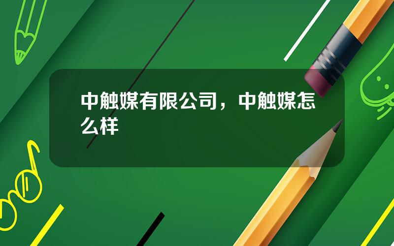 中触媒有限公司，中触媒怎么样