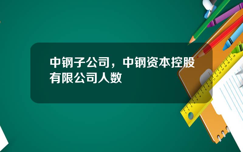 中钢子公司，中钢资本控股有限公司人数