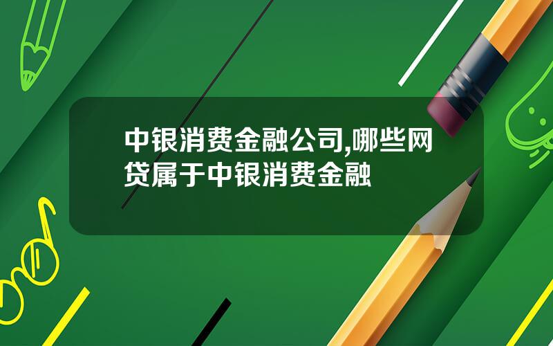中银消费金融公司,哪些网贷属于中银消费金融