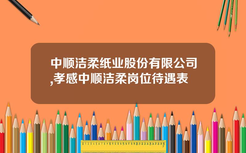 中顺洁柔纸业股份有限公司,孝感中顺洁柔岗位待遇表