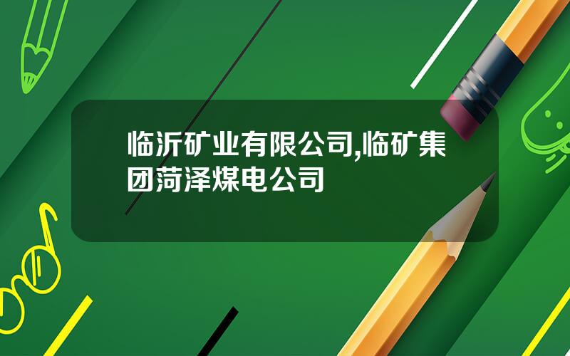 临沂矿业有限公司,临矿集团菏泽煤电公司