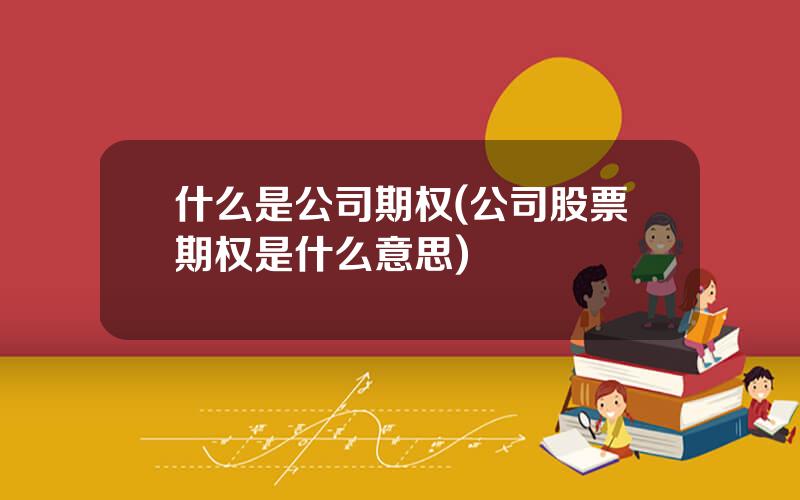 什么是公司期权(公司股票期权是什么意思)