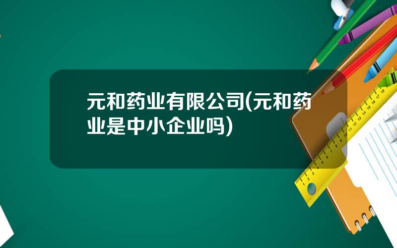 元和药业有限公司(元和药业是中小企业吗)